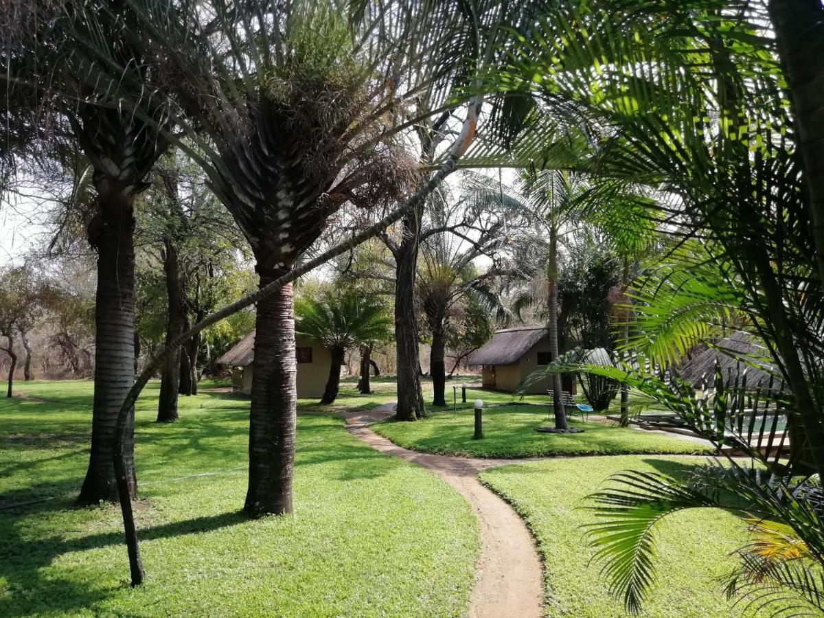 הוילה הודספרויט Shumba Safari Bush Camp מראה חיצוני תמונה